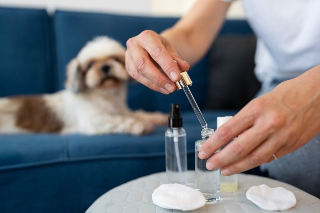 hemp-seed-oil-for-dogs